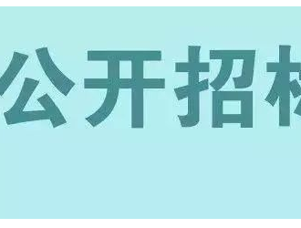 储能招标丨广东电网东莞南社站电化学储能系统专项招标