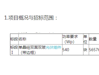 上海大屯新能源示范基地项目光伏组件采购招标公告