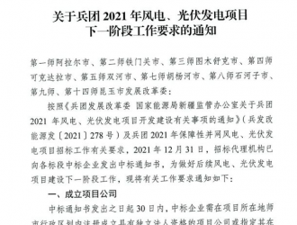 新疆351万千瓦风电、光伏项目竞配中标结果公布！