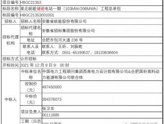 国轩高科中标安徽103MW/206MWh项目