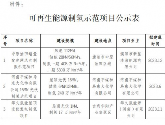 河南发改委公示可再生能源制氢示范项目名单