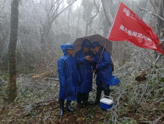 寒潮来袭！南方电网受灾用户基本在24小时内恢复供电