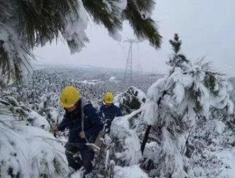 确保雪后电网 安全稳定运行