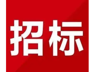 长江电力绿电绿氢示范项目EPC工程总承包项目招标公告