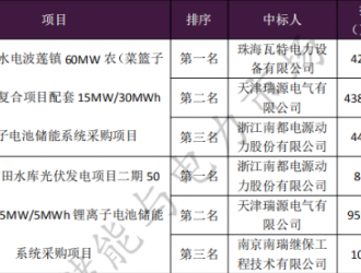 均价1.55元/Wh 东南粤水电储能系统采购项目开标